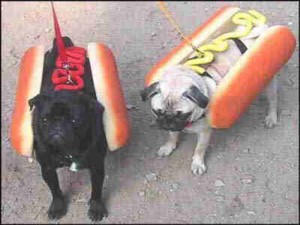 hotdog 2.jpg