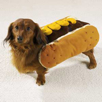 hotdog3.jpg